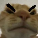 howieangry
