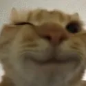 howiewink