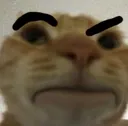 howiewtf howiewtf