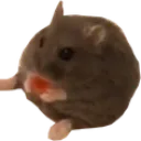 ratmunch