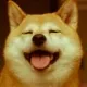HappyShiba