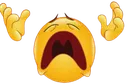 noo