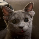 DH1_silliboi Discord emoji