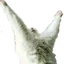 praisethecat Discord Emoji