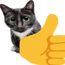 catthumbokidontcare