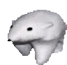 polar_bear polar_bear