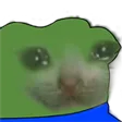 sadCat