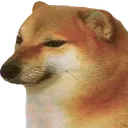 cheems
