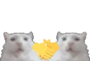 SussyCatHandShake
