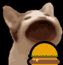 burgerpopcat Discord Emoji