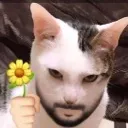 Gigacat gigacat Discord Emoji