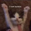 catwantsum Discord Emoji