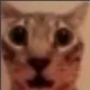 GUH