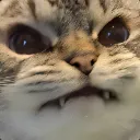 4ff149c9ea7ee9ea4826513afed25214