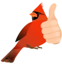 CardinalThumbsUp