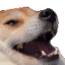 Dogekek