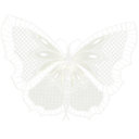 icn_whitebfly Discord emoji