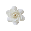icn_wflower Discord emoji