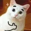 cattoapproves Discord Emoji
