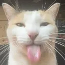 silly