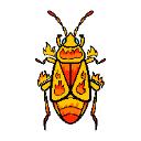 Firebug