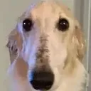 longface longface