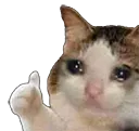 catthumbppcry Discord Emoji