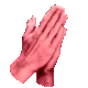 910281388845039617
