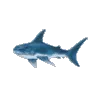 z_AQ_sharkie