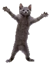 feralrahhhh