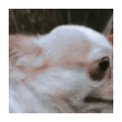 kai029Uhhwtf Discord emoji