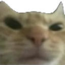 DylansAngryCat Discord emoji