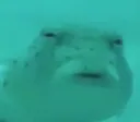 WhatHeck