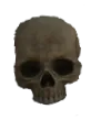 skull