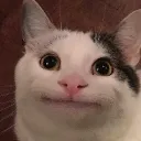 catception