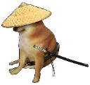 ninjadog