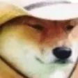 whatInTarnation whatInTarnation
