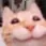 catsmile catsmile