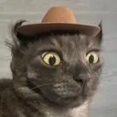 CIcowboymeevin CIcowboymeevin