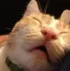 snoozingbutstolen