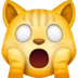 GatoSorprendido
