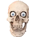 skull2