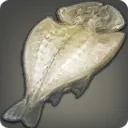 OC_SaltCod