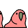 PartyParrot2