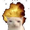 catboom