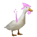 ClassyDuck