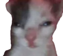 gub_gub
