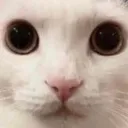 emoji_59
