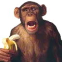 monkeybanana