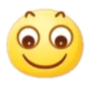 emoji_176